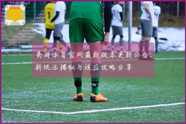 易游体育官网最新版本更新公告：新玩法揭秘与适应攻略分享
